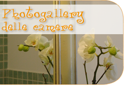 Guarda la photogallery